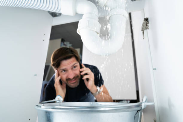 Best Water Heater Repair  in Crystal, MN