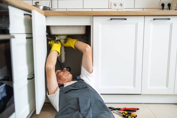 Best Residential Plumbing Services  in Crystal, MN