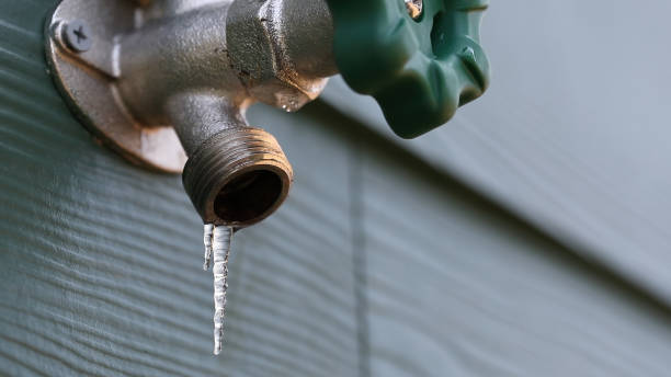 Best Affordable Plumbing Services  in Crystal, MN