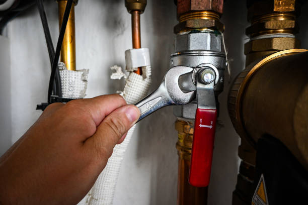 Best Clogged Drain Plumber  in Crystal, MN
